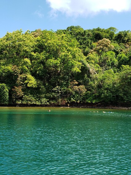 Picture 2 for Activity Snorkel in Panama's Caribbean and visit Portobleo WHS