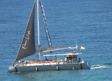 Cádiz: recorrido en catamarán por la bahía de Cádiz con anfitrión