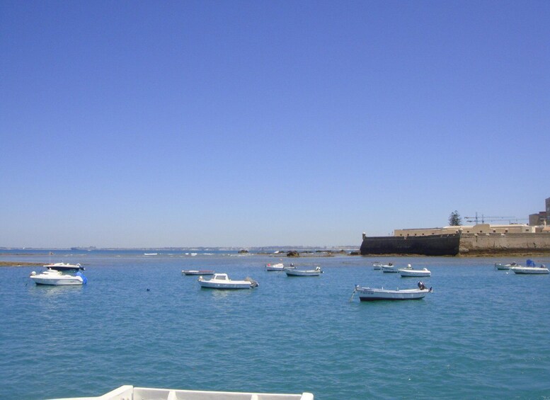 Picture 5 for Activity Cadiz: Bay of Cadiz Catamaran Tour with Host