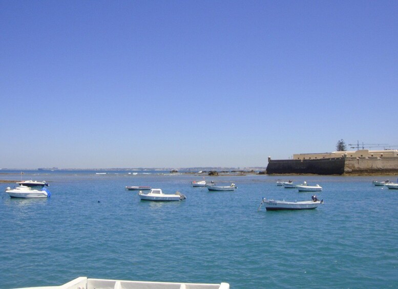 Picture 5 for Activity Cadiz: Bay of Cadiz Catamaran Tour with Host