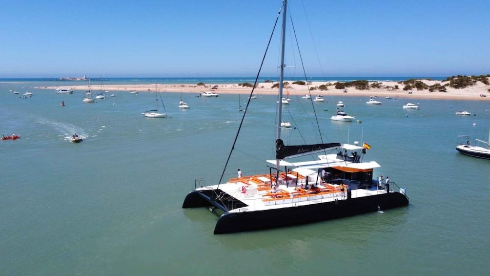 Picture 2 for Activity Cadiz: Catamaran Tour through the Bay of Cadiz