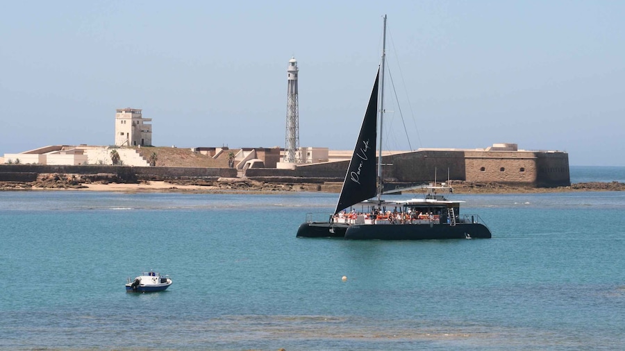 Cadiz: Bay of Cadiz Catamaran Tour with Host