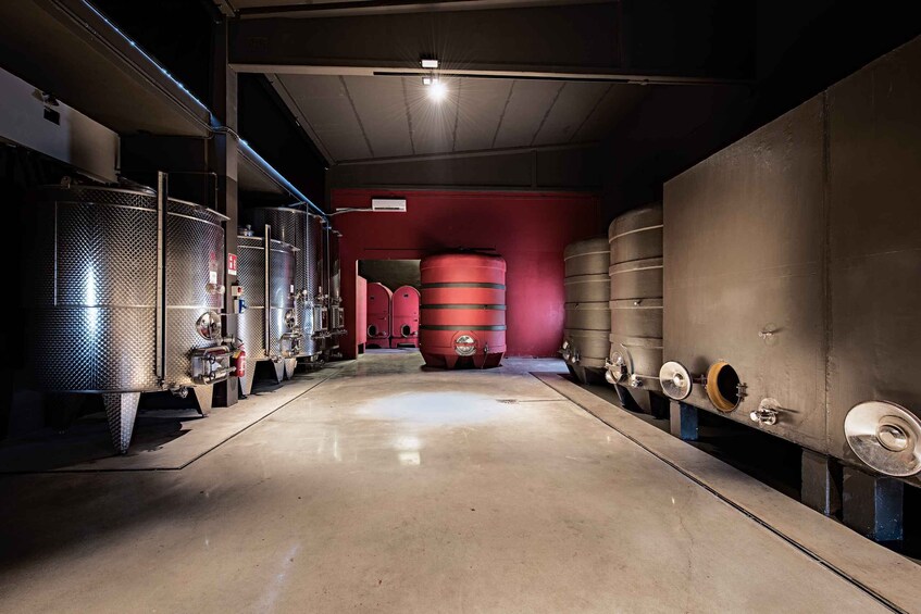 Picture 4 for Activity Monferrato: Wine Tour & Picnic in the Vineyards