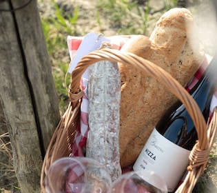 Monferrato: Weintour und Picknick in den Weinbergen