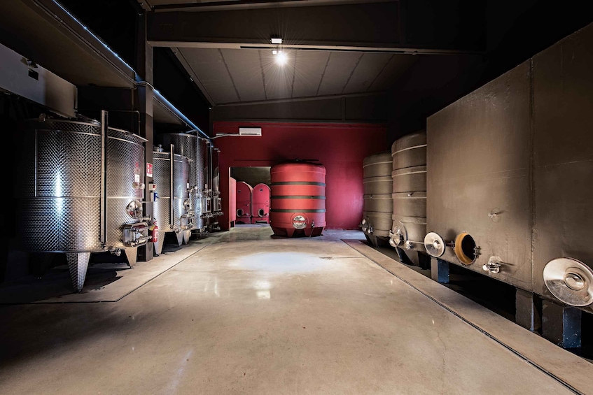 Picture 4 for Activity Monferrato: Wine Tour & Picnic in the Vineyards