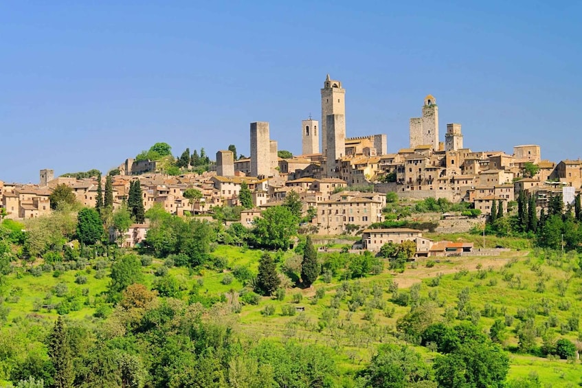 From Viareggio: Siena, San Gimignano & Chianti Wine Tasting