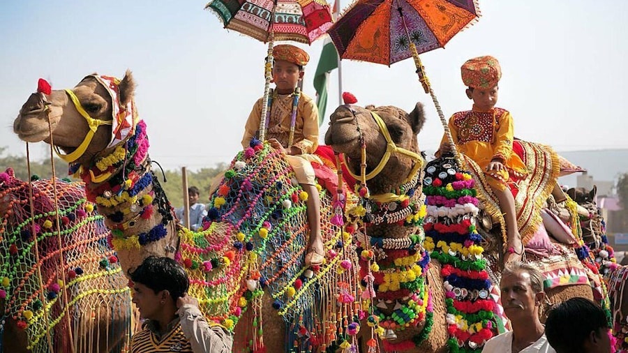 From Jaipur: One-Day Trip From Jaipur to Pushkar
