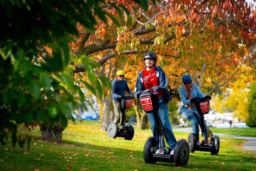 Picture 13 for Activity Queenstown: Guided Segway Tour