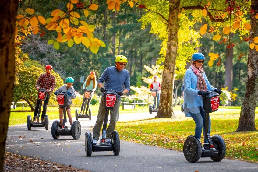 Picture 11 for Activity Queenstown: Guided Segway Tour