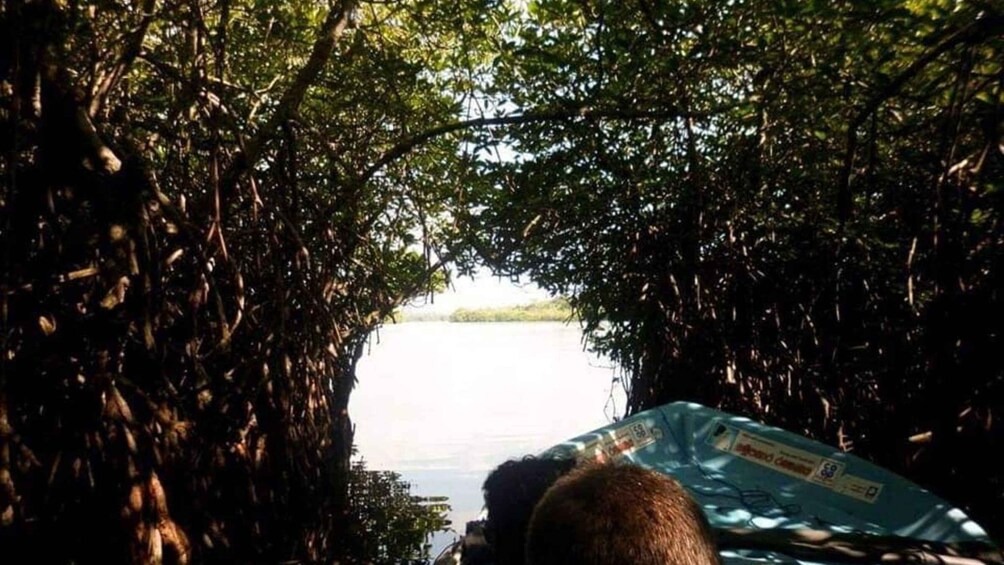 From Colombo: Exclusive Madu River Safari & Turtle Hatchery