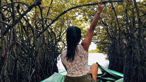 Von Colombo aus: Exklusive Madu-Fluss-Safari und Schildkrötenbrutstätte