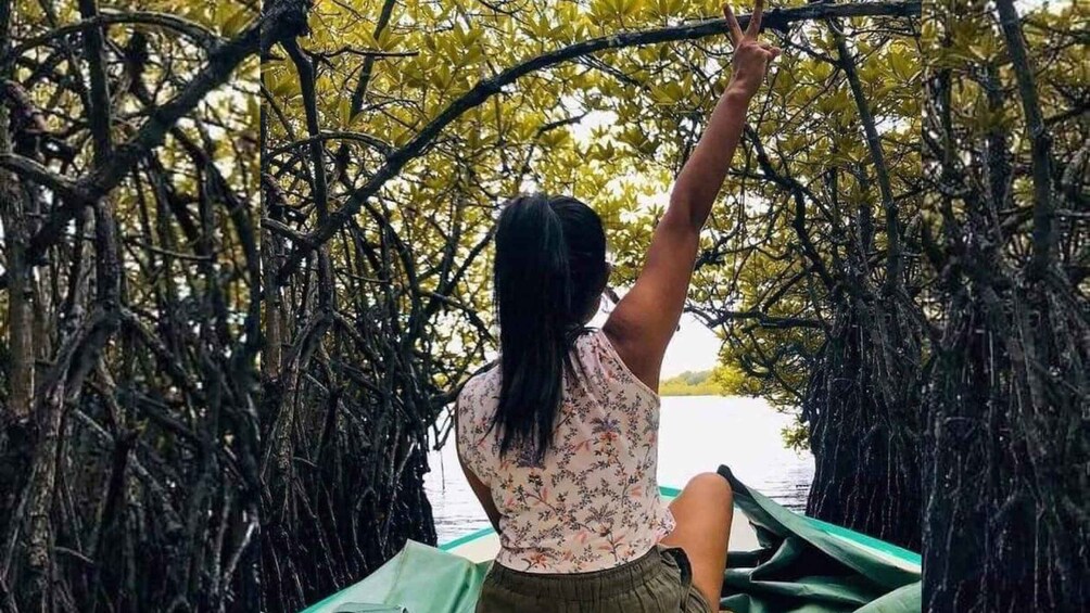 From Colombo: Exclusive Madu River Safari & Turtle Hatchery