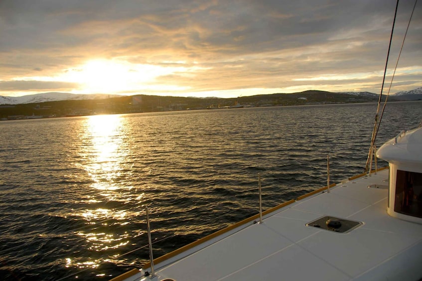 Picture 2 for Activity Tromsø: Midnight Sun Cruise in a Luxury Catamaran