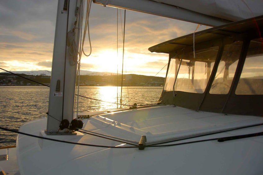 Picture 8 for Activity Tromsø: Midnight Sun Cruise in a Luxury Catamaran