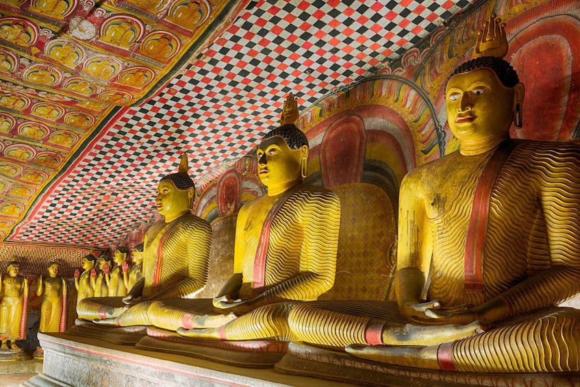 Picture 3 for Activity From Negombo: Dambulla Caves & Kaudulla National Park Safari