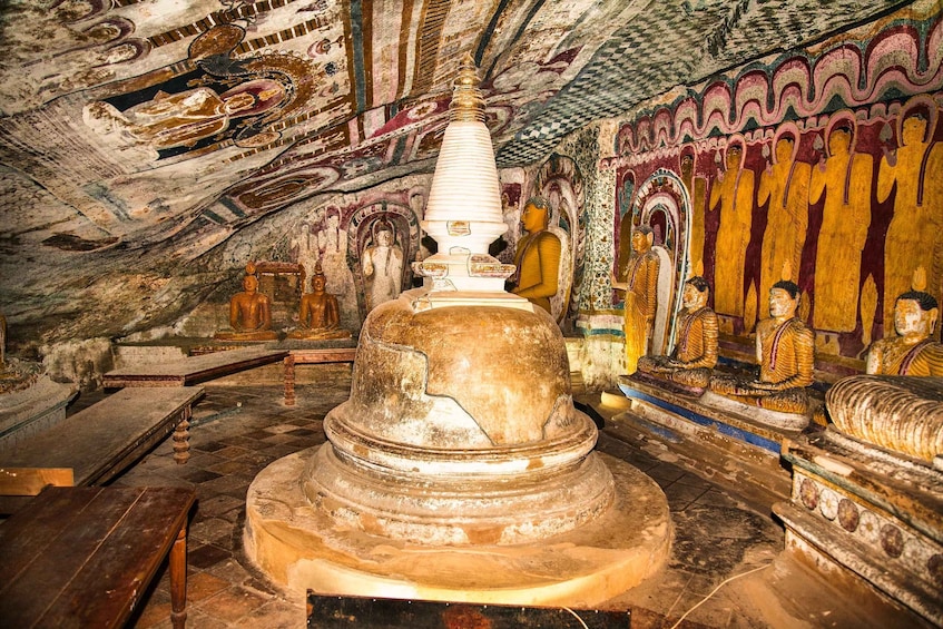 Picture 10 for Activity From Negombo: Dambulla Caves & Kaudulla National Park Safari