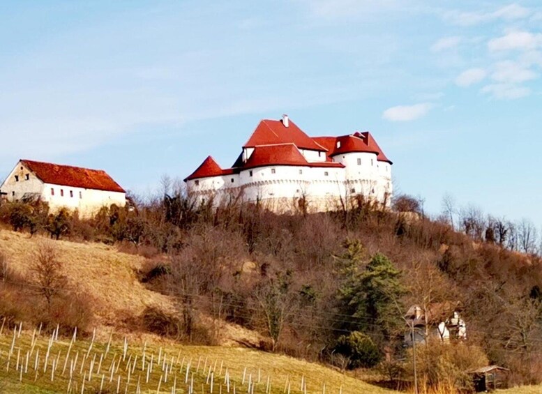 Picture 1 for Activity Veliki Tabor Castle, Kumrovec Museum with Wine Tasting