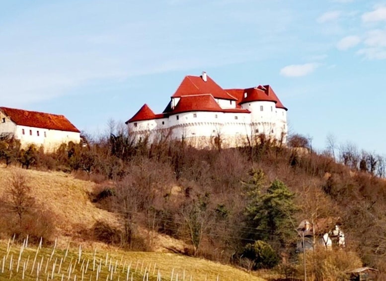 Picture 1 for Activity Veliki Tabor Castle, Kumrovec Museum with Wine Tasting