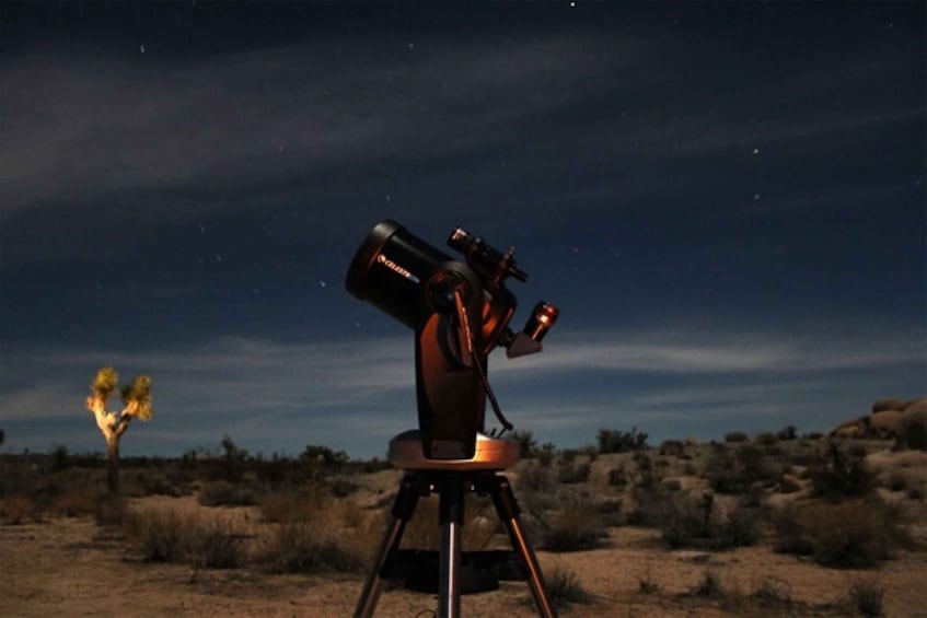 Picture 10 for Activity Makadi Bay: Desert Stargazing Adventure by Jeep with Dinner