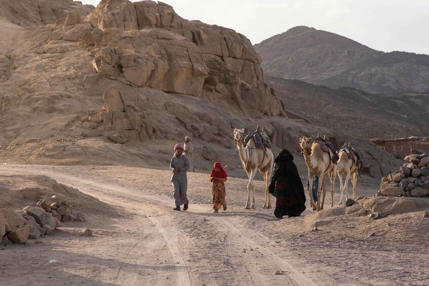 Picture 33 for Activity Makadi Bay: Desert Stargazing Adventure by Jeep with Dinner