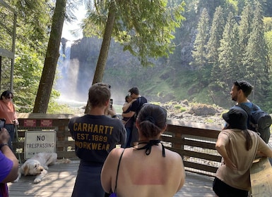 From Seattle: Snoqualmie Falls and Wineries Tour w/ Transfer