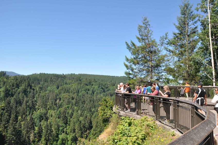 Picture 7 for Activity From Seattle: Snoqualmie Falls and Wineries Tour w/ Transfer