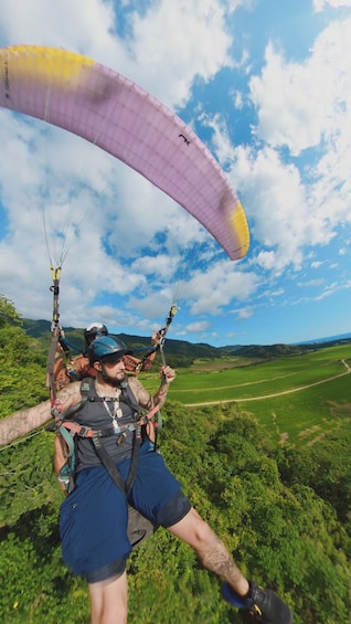 Picture 7 for Activity Jaco: Paragliding Flight over Tropical Forest