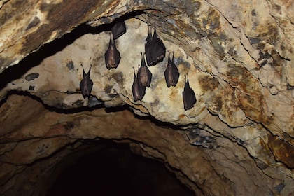 Speleology in the Arouca Geopark´s Tungsten Mines