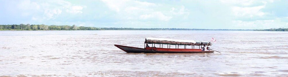 Picture 1 for Activity From Iquitos || 4-day wildlife expedition in Pacaya Samiria