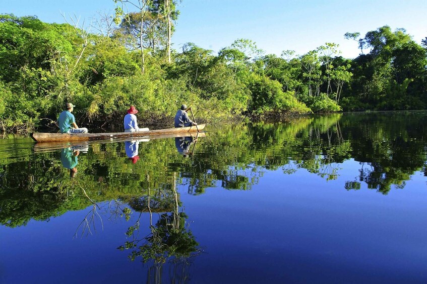 Picture 5 for Activity From Iquitos || 4-day wildlife expedition in Pacaya Samiria