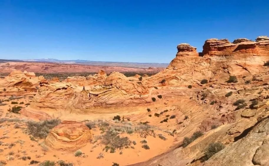 Picture 1 for Activity Kanab: South Coyote Buttes Hiking Tour (Permit Required)