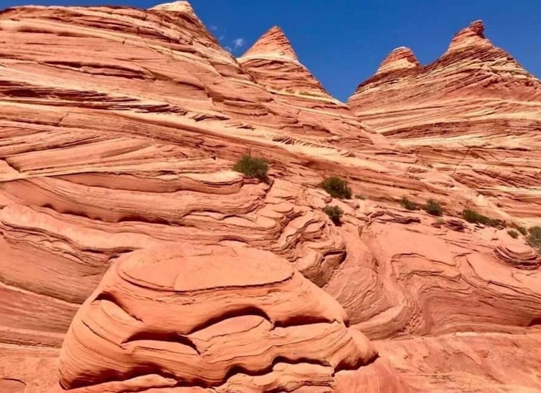 Kanab: South Coyote Buttes Hiking Tour (Permit Required)