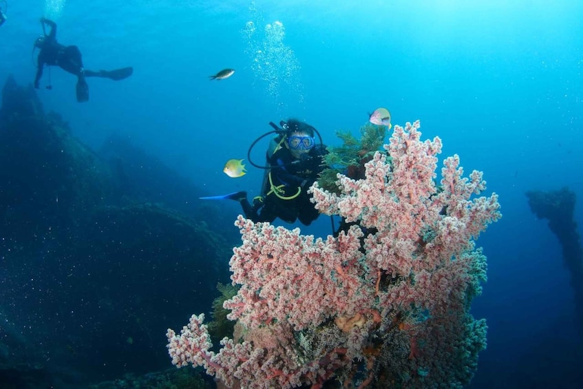 Picture 3 for Activity Bali: Tulamben USAT Liberty Wreck Scuba Diving