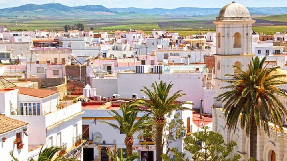 Picture 4 for Activity Vejer and Conil: Tour from Jerez, El Puerto, Cádiz, Chiclana