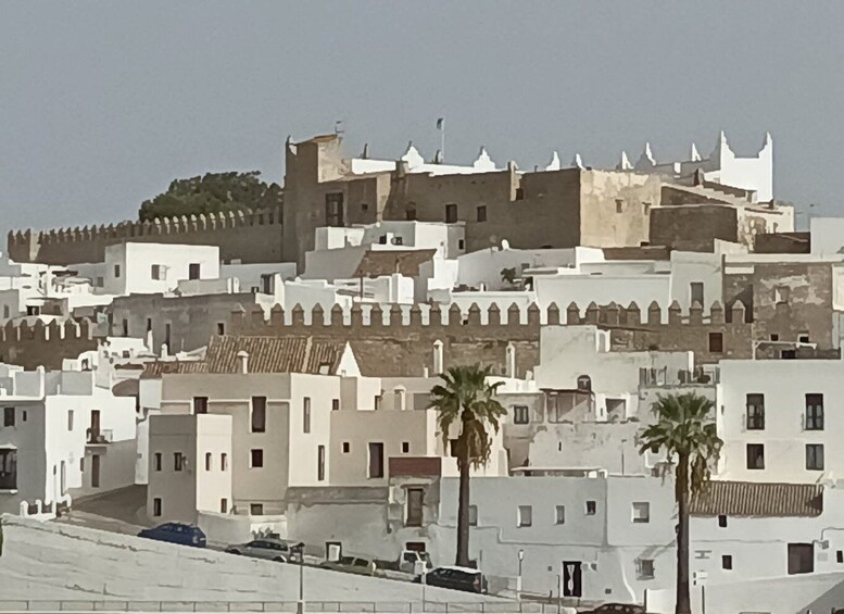 Picture 3 for Activity Vejer and Conil: Tour from Jerez, El Puerto, Cádiz, Chiclana