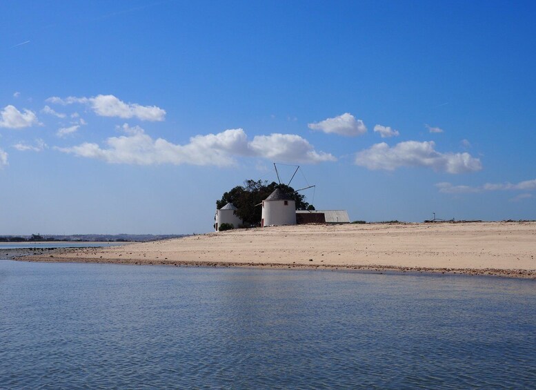 Picture 7 for Activity Lisbon: Tagus Estuary Nature Reserve Birdwatching Boat Tour