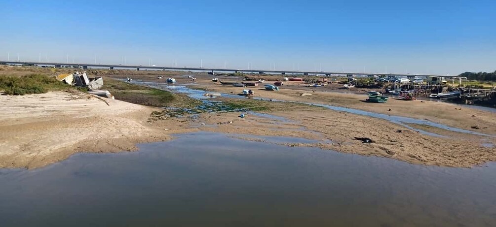 Picture 6 for Activity Lisbon: Tagus Estuary Nature Reserve Birdwatching Boat Tour