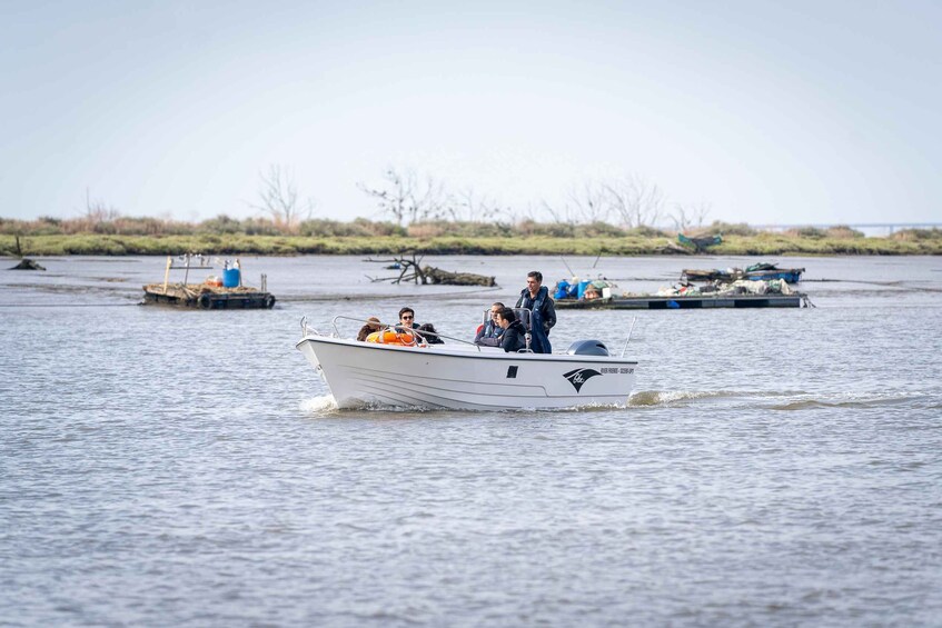 Picture 5 for Activity Lisbon: Tagus Estuary Nature Reserve Birdwatching Boat Tour