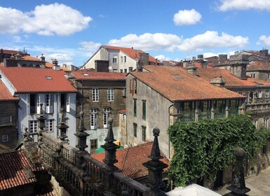 Welcome to Santiago de Compostela: Private Tour with a Local