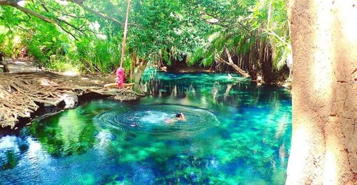 Excursión de día completo con delfines y la isla de Mnemba