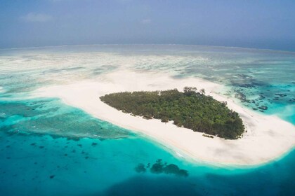 Visite complète de la journée-dolphin et l’île de Mnemba