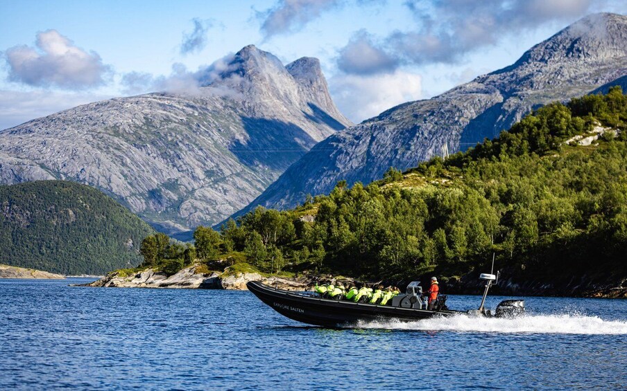 Picture 2 for Activity Bodø: Saltstraumen Sea Eagle Trip by RIB