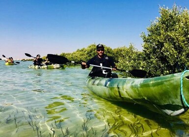 Mangroven 1-stündige private Kajaktour im Al Thakira Reservat