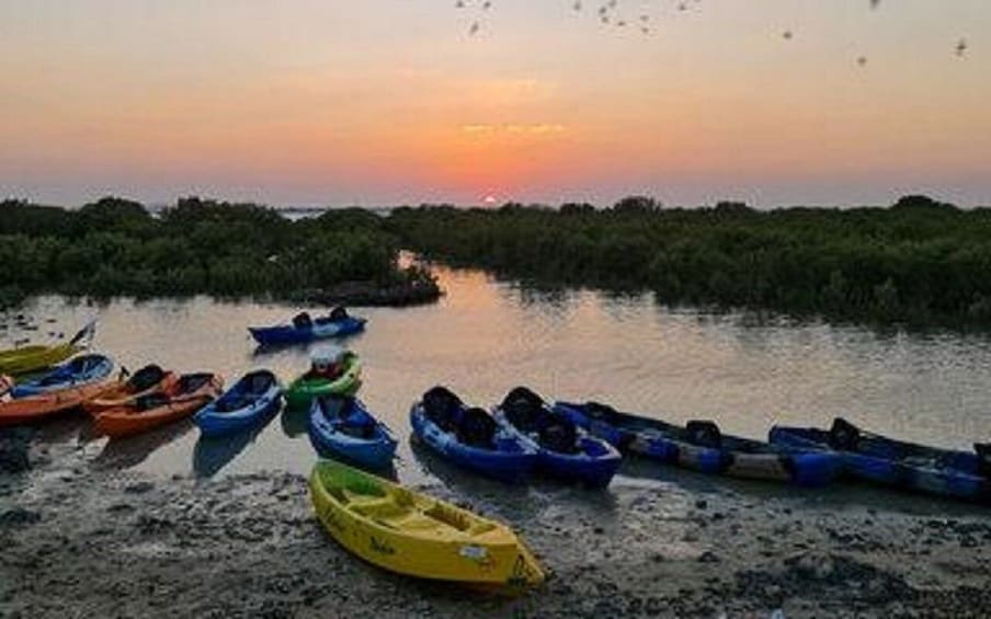 Picture 2 for Activity Mangrove 1-Hour Private Kayaking in Al Thakira Reserve