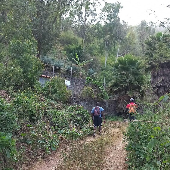 Picture 2 for Activity Hiking: Waterfall Aguas Caidas &Boat Trip to the Cave.