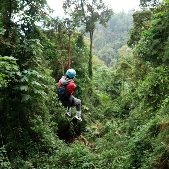 Chicaque Foggy Forest Hike