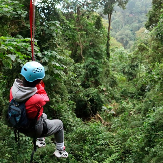 Picture 4 for Activity Chicaque Foggy Forest Hike