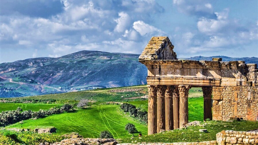 From Tunis: Full Day Uthina and Dougga Private Tour