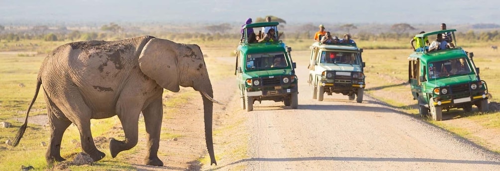 Picture 4 for Activity 3-Day Masai Mara & Lake Naivasha Safari on 4x4 Jeep