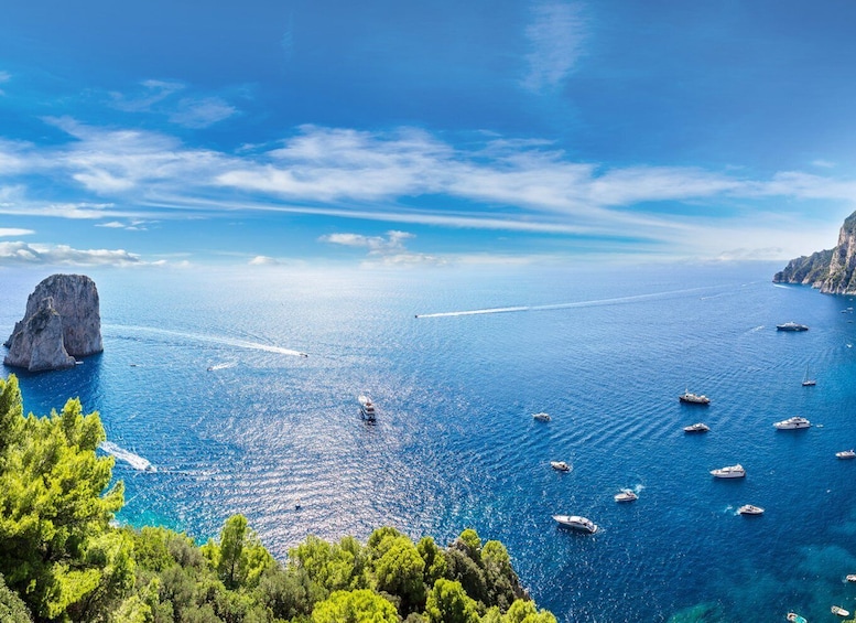 Picture 4 for Activity From Naples: Capri Tour with Transport